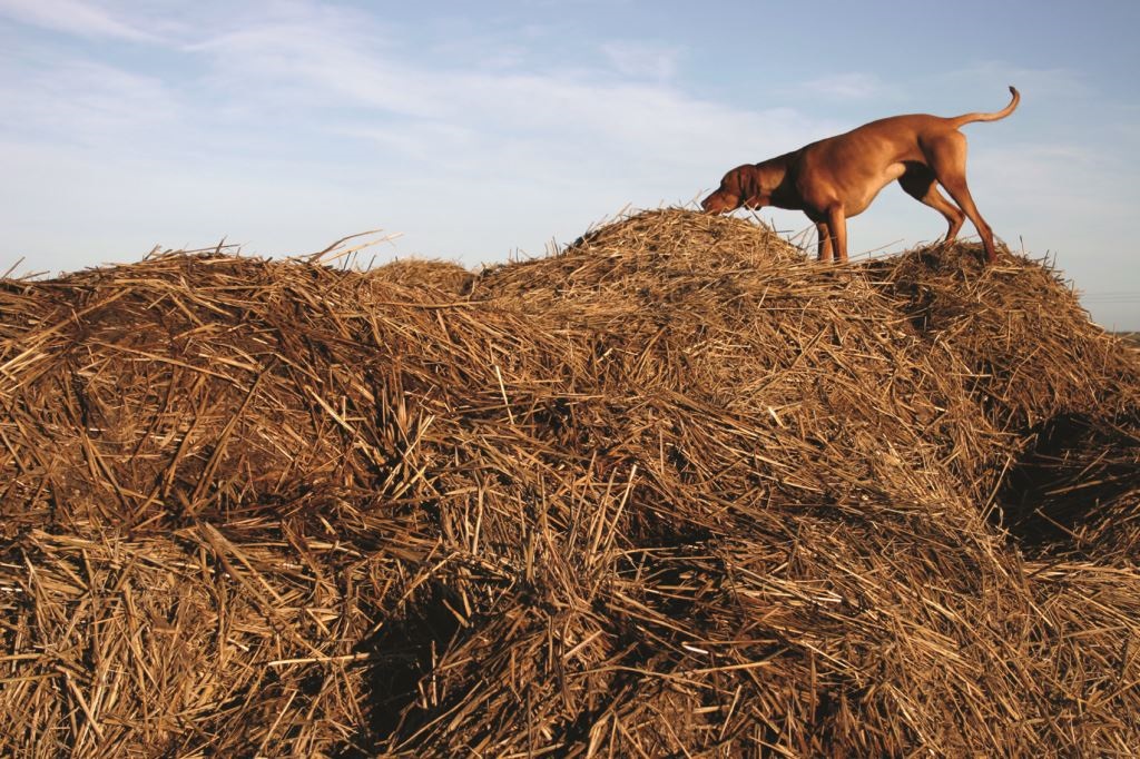 Find the one tool needed to market a consumer product is like looking for a needle in a haystack.